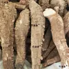 Angélica Dahurica Auténtica de Sichuan, Materiales Medicinales Chinos, Raíz Entera Grande de Angélica Dahurica, Piel Roja, Seco Sin Azufre, Especias, Condimentos y Adobos