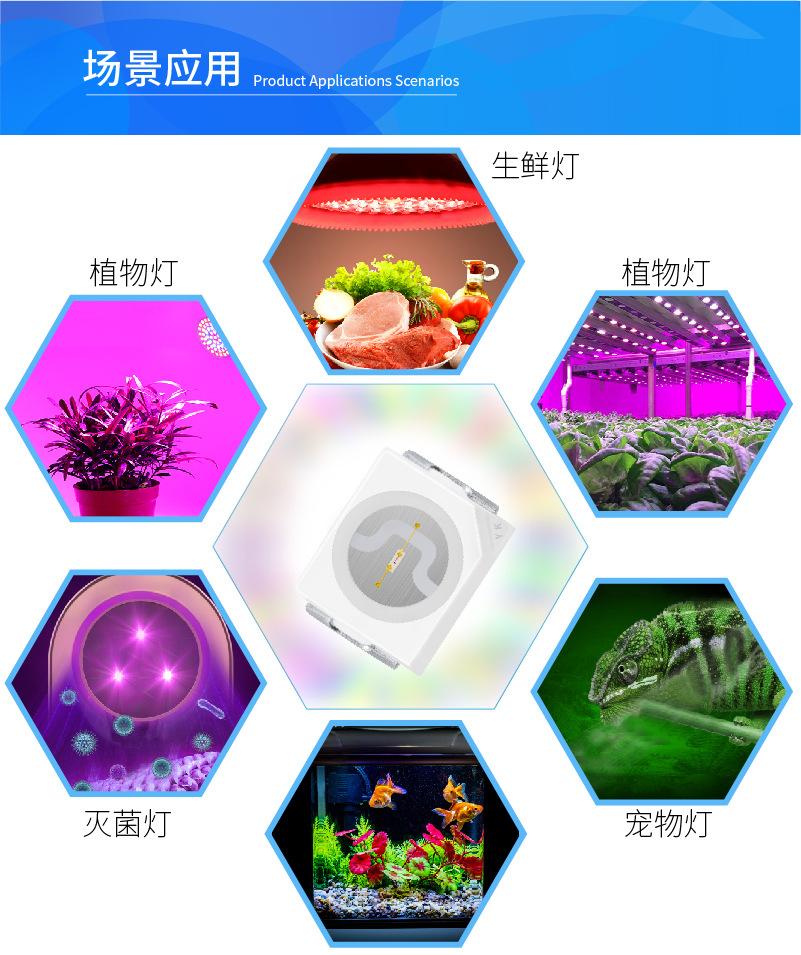 66-83详情3528B  -04