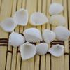 Material para Vela de Gel Areia do Mar Engarrafada Concha Luminous Stone Pedrinha Cabeça Material para Vela Oceânica Cera de Cristal