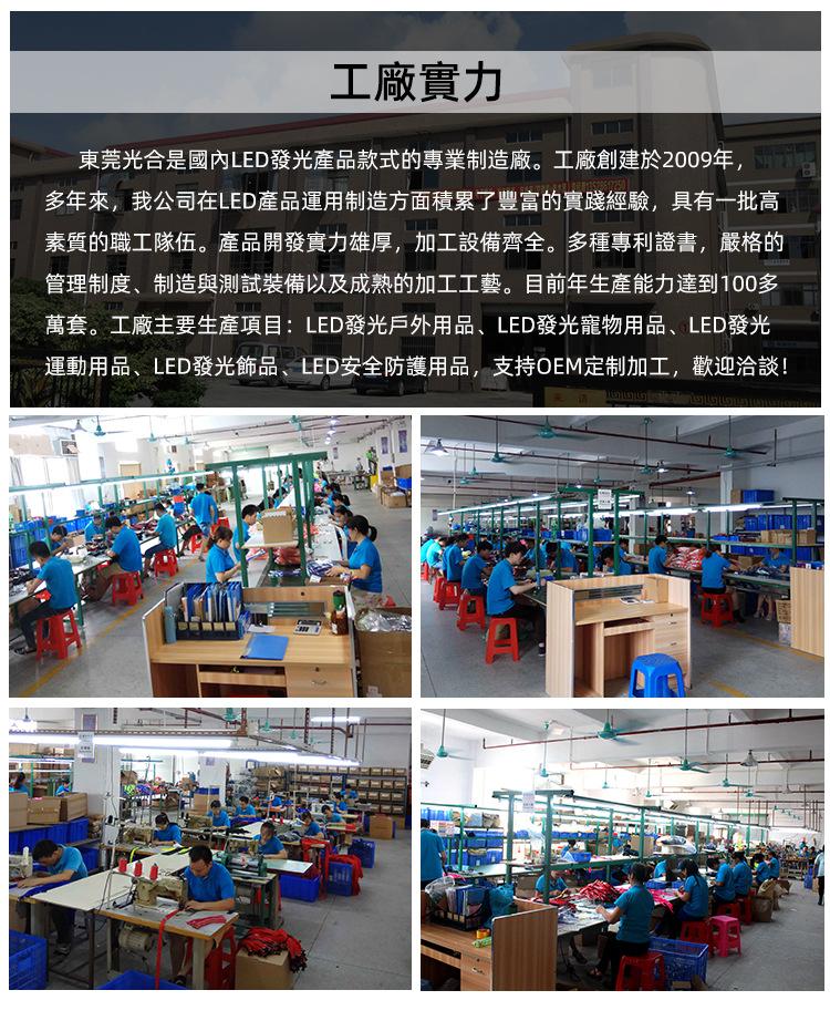 K4002-LED绳绣马脖 (14).jpg