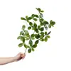 Folhagem Artificial com Galhos de Madeira Pé de Pato, Cachos Planos de Plantas Verdes Falsas para Decoração de Casa, Arranjos Florais, Engenharia de Paisagismo e Paisagismo