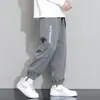 Pantalones Casuales de Seda Helada para Hombre Primavera/Verano 2026 Nueva Moda Holgados Modernos Frescos Versátiles Jogger Harem Pantalones Cortos