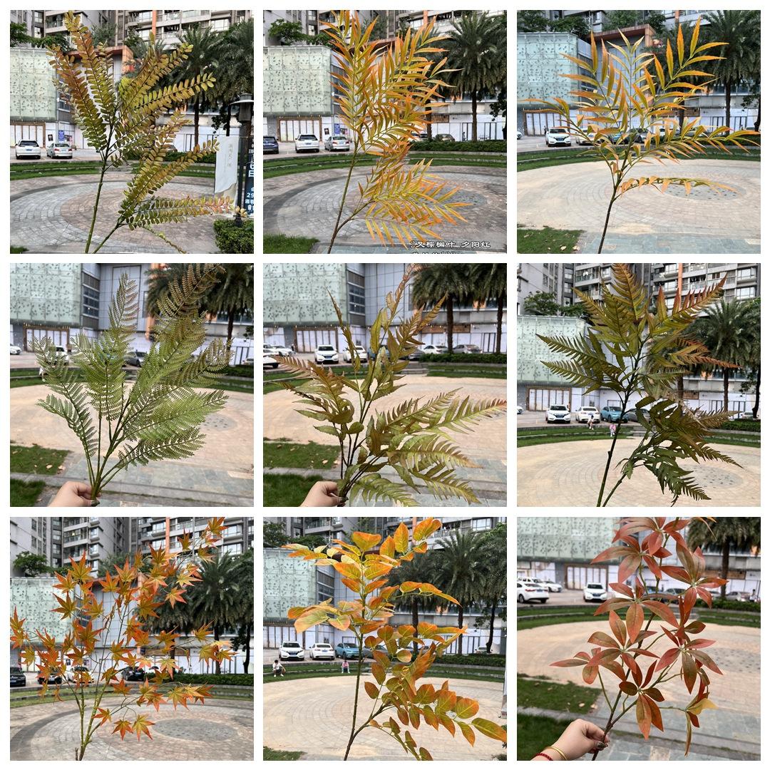 微信图片_20240825140611_副本.jpg