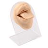 Modelo Facial de Silicona Transfronterizo Modelo de Boca y Lengua Entrenamiento para Piercings Modelo para Poses Exhibición de Labios Uñas Lengua Uñas