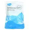 Haishi Hainuo Bolsa de Compressa Fria Descartável Ice Pack Médico 6 Bolsas por Caixa Ice Pack Resfriamento Resfriamento Rápido Doméstico Frio
