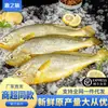 Peixe Amarelo Congelado Grande, Peixe Amarelo de Águas Profundas Triplamente Limpo, Peixe Fresco, Frutos do Mar Frescos, Produtos Aquáticos Atacado
