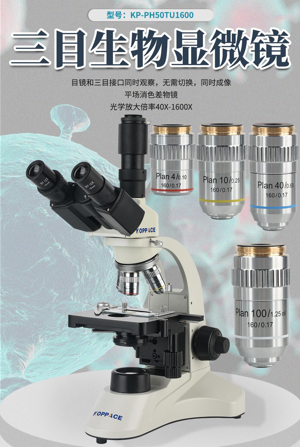 详情_01.jpg