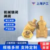 Shanghai Hugong Válvula de Compuerta de Bloqueo Mecánico de Latón Medidor de Agua Válvula Antirrobo Interruptor de Válvula de Cifrado Magnético