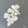 Flor artificial de Phalaenopsis con tacto pegado, flor individual para sala de estar, decoración del hogar, flor de boda, flor falsa para piso, arreglo floral