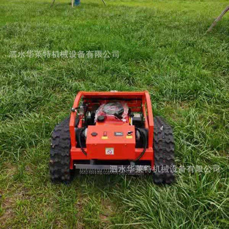 u=2976811342,557869711&