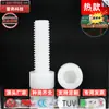 Parafuso de Nylon com Soquete Sextavado Parafuso Plástico Cabeça Panela Parafuso de Nylon com Soquete Sextavado Parafuso Isolado Branco