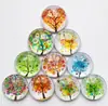 Conjunto Criativo de Ímãs de Geladeira de Cristal Adesivos Magnéticos de Desenho Animado Fofos Decoração de Adesivo 3D Adesivos de Foto DIY
