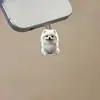 Fofo Spitz Cruzamento Popular Acrílico Plug de Poeira para Celular Tipo Pingente Tipo-C