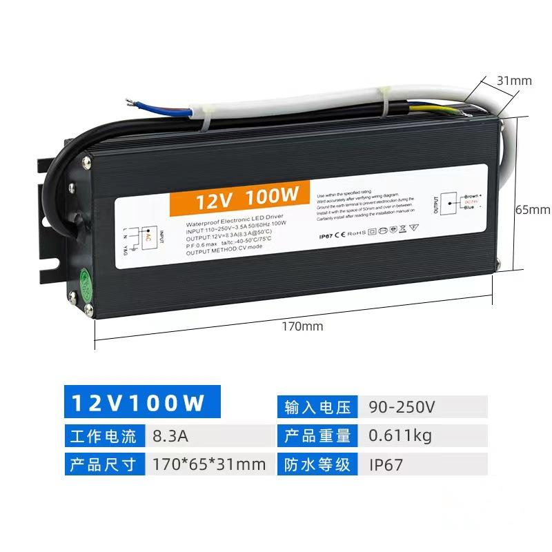 12V100W