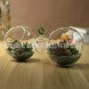 Jarrón creativo de suculentas estilo europeo dispositivo de cultivo de flores de doble esfera decoración creativa planta de cultivo en agua decoración del hogar vidrio