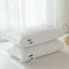Promoção Relâmpago Produtos para Levar Comércio Exterior Transfronteiriço Transmissão ao Vivo Fabricante Atacado Algodão Tricotado Veludo Pena Travesseiro Travesseiro Único Núcleo de Travesseiro Veludo Pena