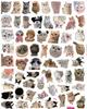 800 adesivos fofos de gato de desenho animado para decoração de hand account, caderno, bagagem, capa de celular, adesivo à prova d'água para atacado