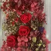 Paquete de material de bricolaje para flores secas de flor eterna, rosa, margarita, hortensia, marco de fotos hecho a mano, paquete de material para abanico de aromaterapia