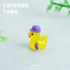 Figurilla de Patito de Calle de Resina de Dibujos Animados DIY que Brilla en la Oscuridad Colgante Creativo para Llavero Mini Accesorios de Decoración Venta al por Mayor