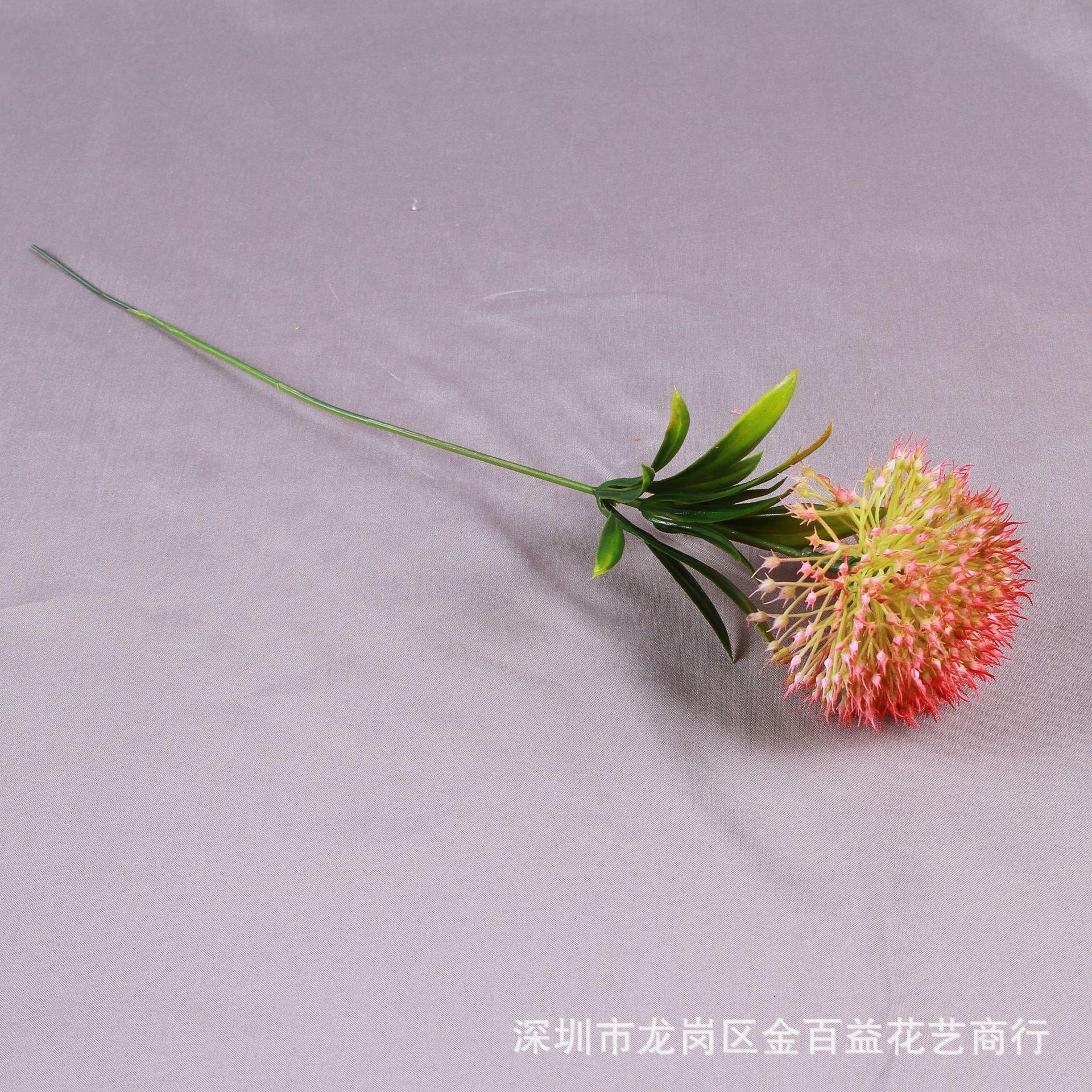 IMG_8522_副本.jpg