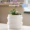 Maceta de Cerámica con Plato para Uso en el Hogar, Exquisita Estilo Ins Blanco Lujo Ligero Minimalista Estilo Crema Maceta para Orquídeas Suculentas