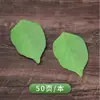 Paquete de Notas Adhesivas Creativas Lindas Hojas de Árbol de Simulación de Humor Envío Gratis Portátil Libro de Pegatinas de Notas Adhesivas en Blanco Estudiante