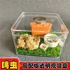 Caja de Cría de Plástico Transparente para Observación y Cría de Insectos