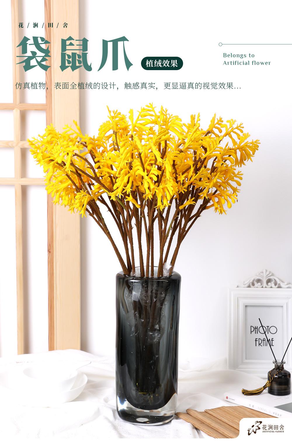 袋鼠爪-8.8_01.jpg
