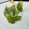 11 garfo chuva de primavera simulação flor simulação planta verde sistema floresta planta verde exibição em casa cor suave folha de ferradura taro casamento