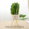Vaso de Flor de Rabanete Verde Vaso de Flor de Cerâmica Criativo Grande Hidropônico Planta Ins Simples de Ferro Desktop Parede Pendurado Vaso de Flor