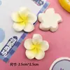 Frangipani de Gradiente de Seis Colores Accesorios de Resina para Manualidades Pasador Diadema Material Versátil Nuevo Simple Corazón Femenino Superficie Brillante