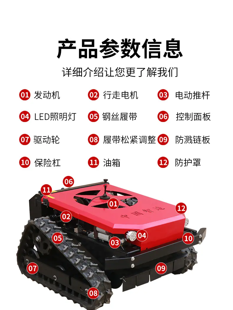 详情 (11)
