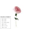 Simulação de flores de verão Novo pacote de cabeça única Zhongao para sala de estar Enfeites de flores para decoração de casamento Enfeites Adereços de tiro