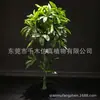 Flor Artificial Árvore da Fortuna Planta de Simulação Árvore de Chão em Vaso Grande Sala de Estar Falso Bonsai Plástico Decoração de Flor de Interior Planta Verde