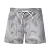 Verano Nuevo Impresión Digital 3D Ocio Vacaciones Shorts Juventud Viaje Estilo Hawaiano Pantalones de Playa