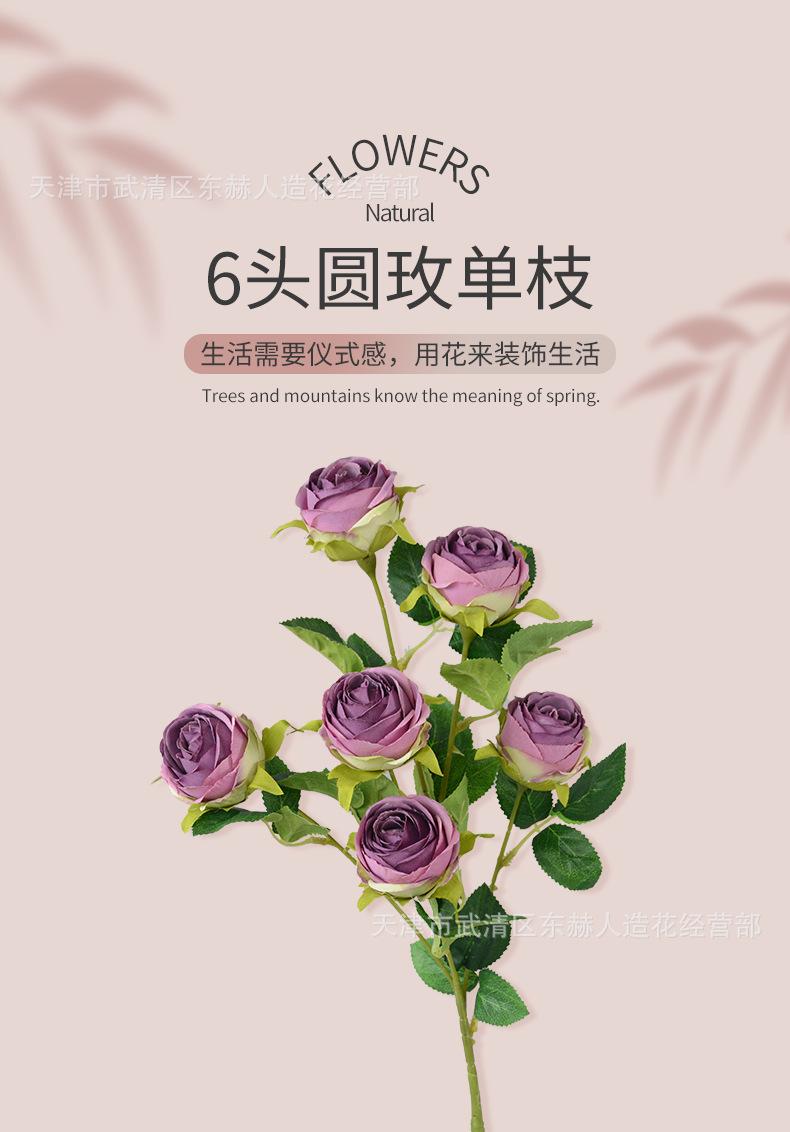 详情_01.png