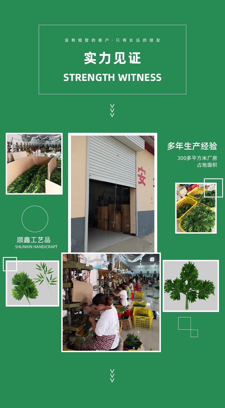 详情2.jpg