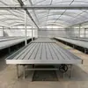 Invernadero de Cama de Marea para Plántulas Invernadero de Cama de Marea Cultivo de Plántulas de Flores Plantación en Invernadero de Cama de Marea Plántulas Cultivo de Verduras Cama de Marea para Plántulas