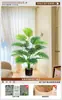 Palmeira Cauda de Peixe Planta Verde Simulação Alto Padrão Luxo Leve Sala de Estar Interna Grande Ornamentação de Chão em Vaso Planta Biônica Flor Artificial Árvore