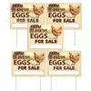 Letrero de Huevos Frescos de Granja Estilo Nuevo Transfronterizo Hecho de Material Plástico Corrugado para Venta de Huevos Rurales y Publicidad en el Patio