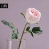 Venta al por mayor transfronteriza hidratante para manos rosa flor artificial foto flor falsa individual decoración sala de estar europea adornos de botella