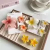 Conjunto de Presilhas de Cabelo Doces de Frangipani Estilo Verão Transfronteiriço, Grampo para a Parte de Trás da Cabeça, Presilha Tubarão, Acessório de Cabelo de Flor de Acrílico