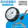 Termómetro Hongqi de Presión Serie Wtz-280 100 Grados Agua y Aceite Vapor Líquido Termómetro para Caldera Sonda de Cobre