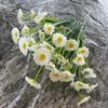 Cabo pequeno mini buquê de simulação de crisântemo Margarida Margarida Flor DIY grinalda chapéu acessórios vários arranjos de cena