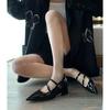 2025 Novos Sapatos de Salto Grosso Pontudos Primavera e Outono Francês Boca Rasa Altura Interna Sapatos Femininos com Fivela Sapatos Mary Jane
