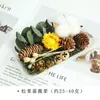Kit de Materiales DIY de Flor Seca para Aromaterapia sin Fuego, Piñas Secadas al Aire, Canela, Ornamentos de Fragancia Natural de Planta Hechos a Mano para Decoración
