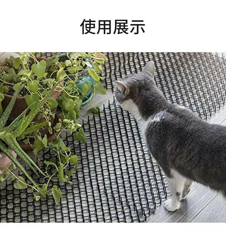 微信图片_202109031008253