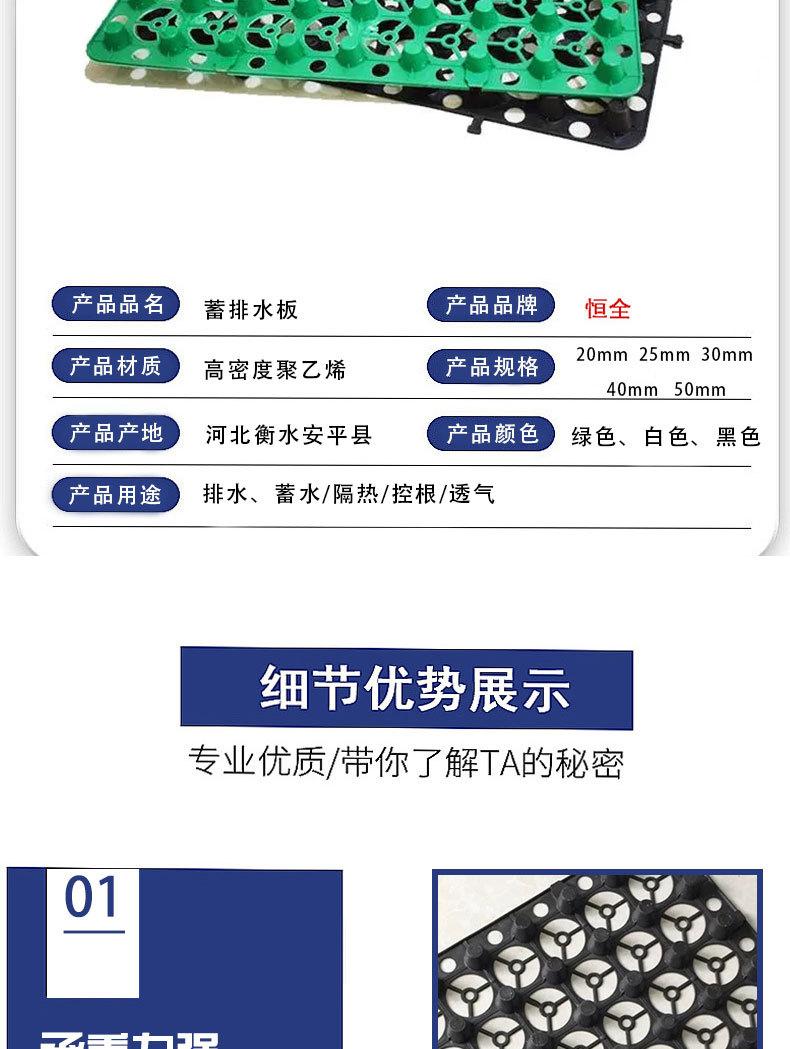 蓄排水板_05.jpg