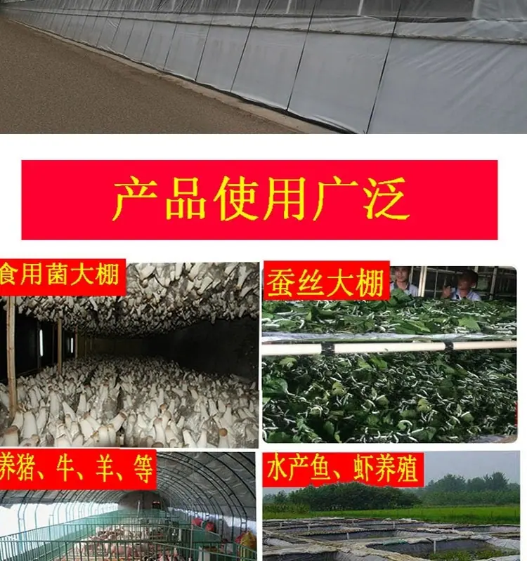 新17
