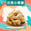 Jengibre amarillo pequeño de Yunnan, disponible para envío directo en cantidades de 1/3/5/ 4.5 kg piezas. Jengibre posparto, trozos de jengibre picante, verduras frescas de temporada